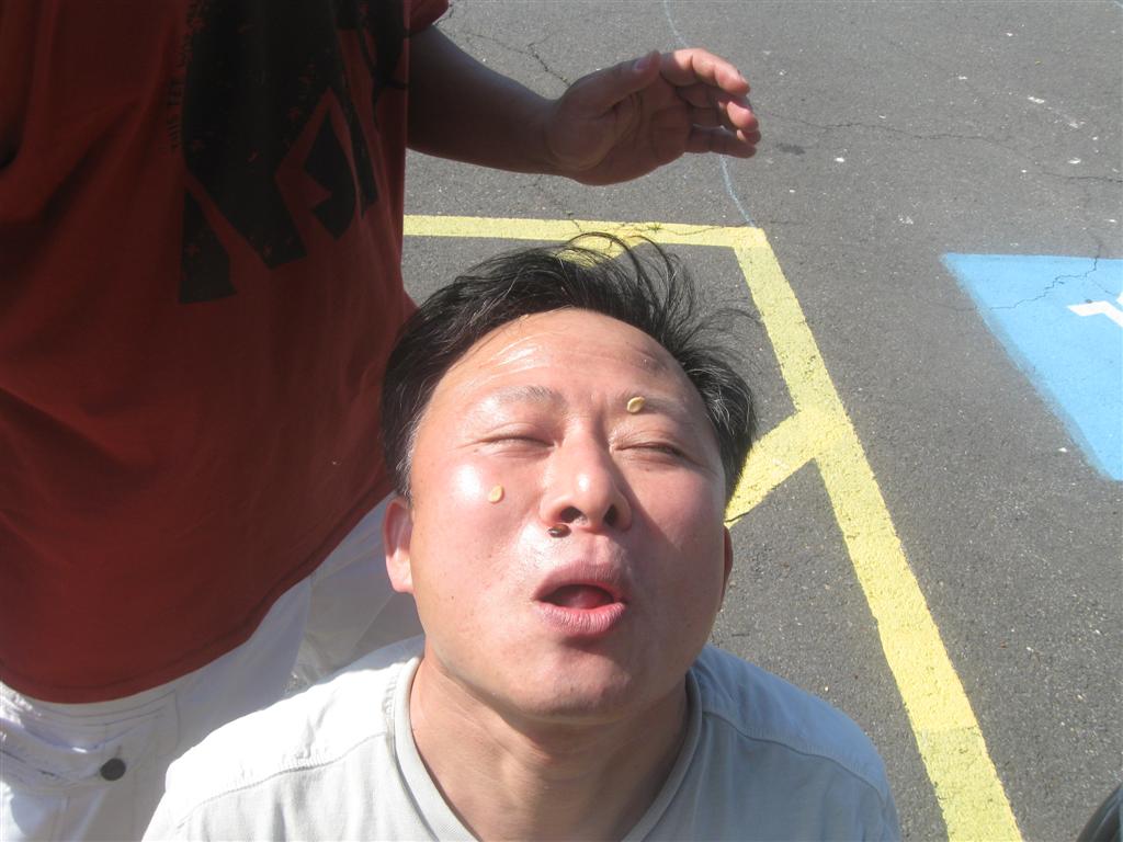 IMG_1458 (Large).jpg